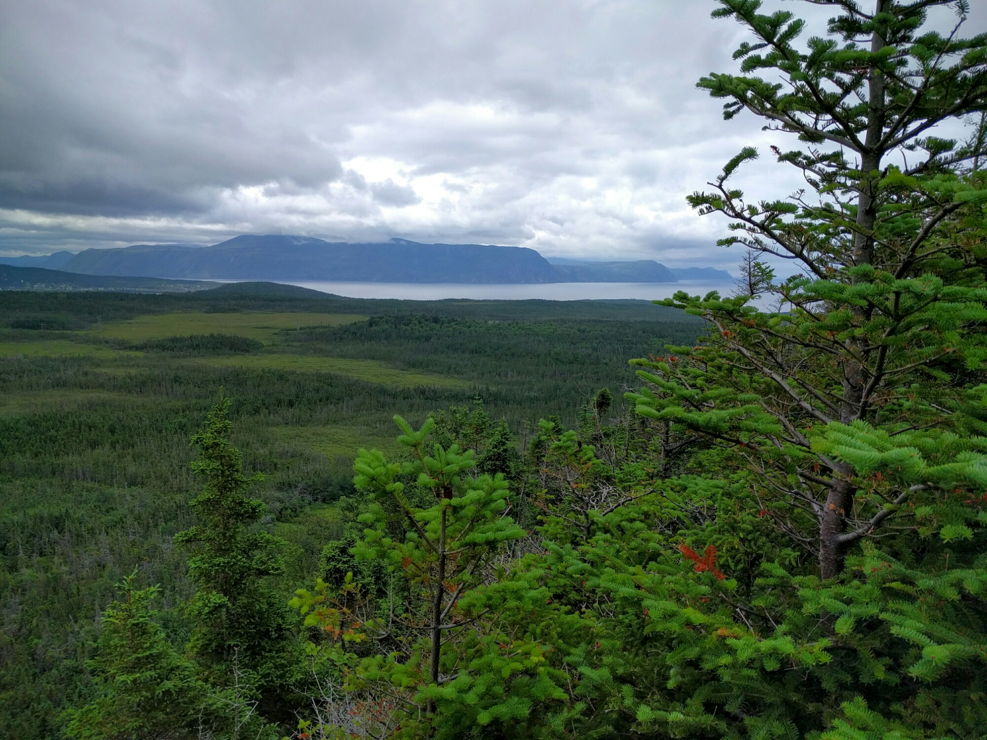 View from Berry Hill in Gros Morne, NL