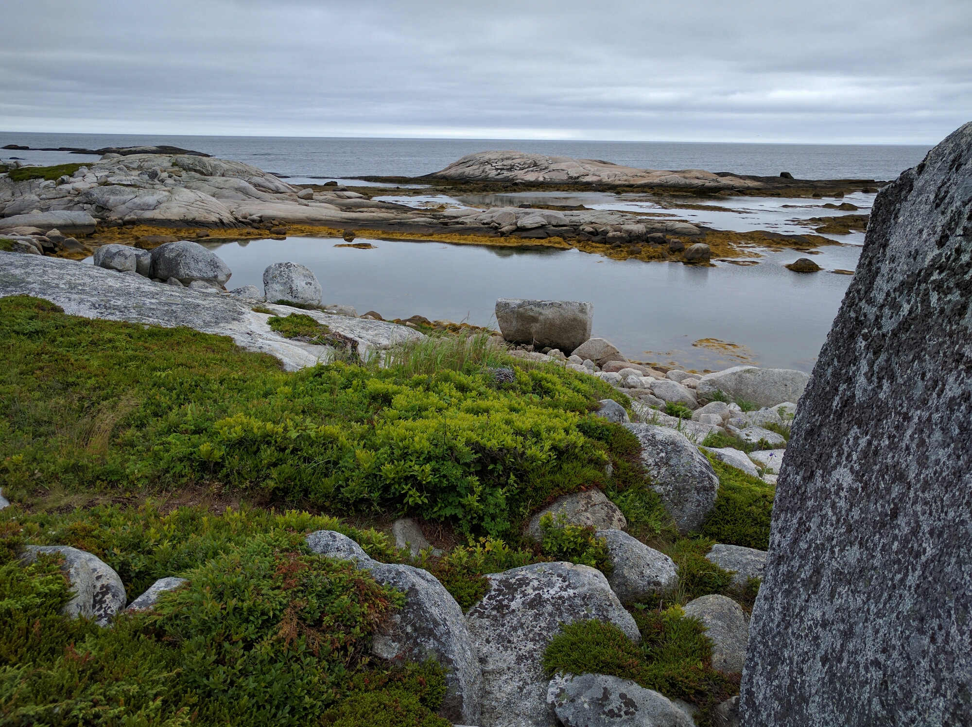 Polly’s Cove Hiking Trail