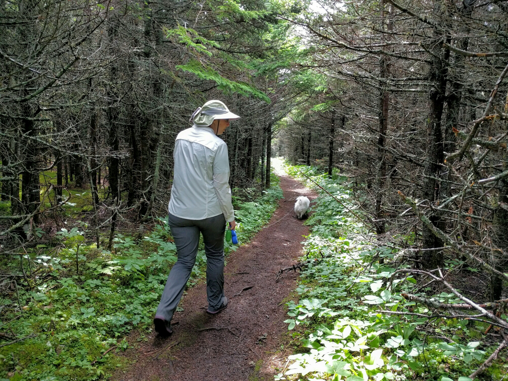 Alison and Fletcher hike the Costal Trails at Gros Morne.