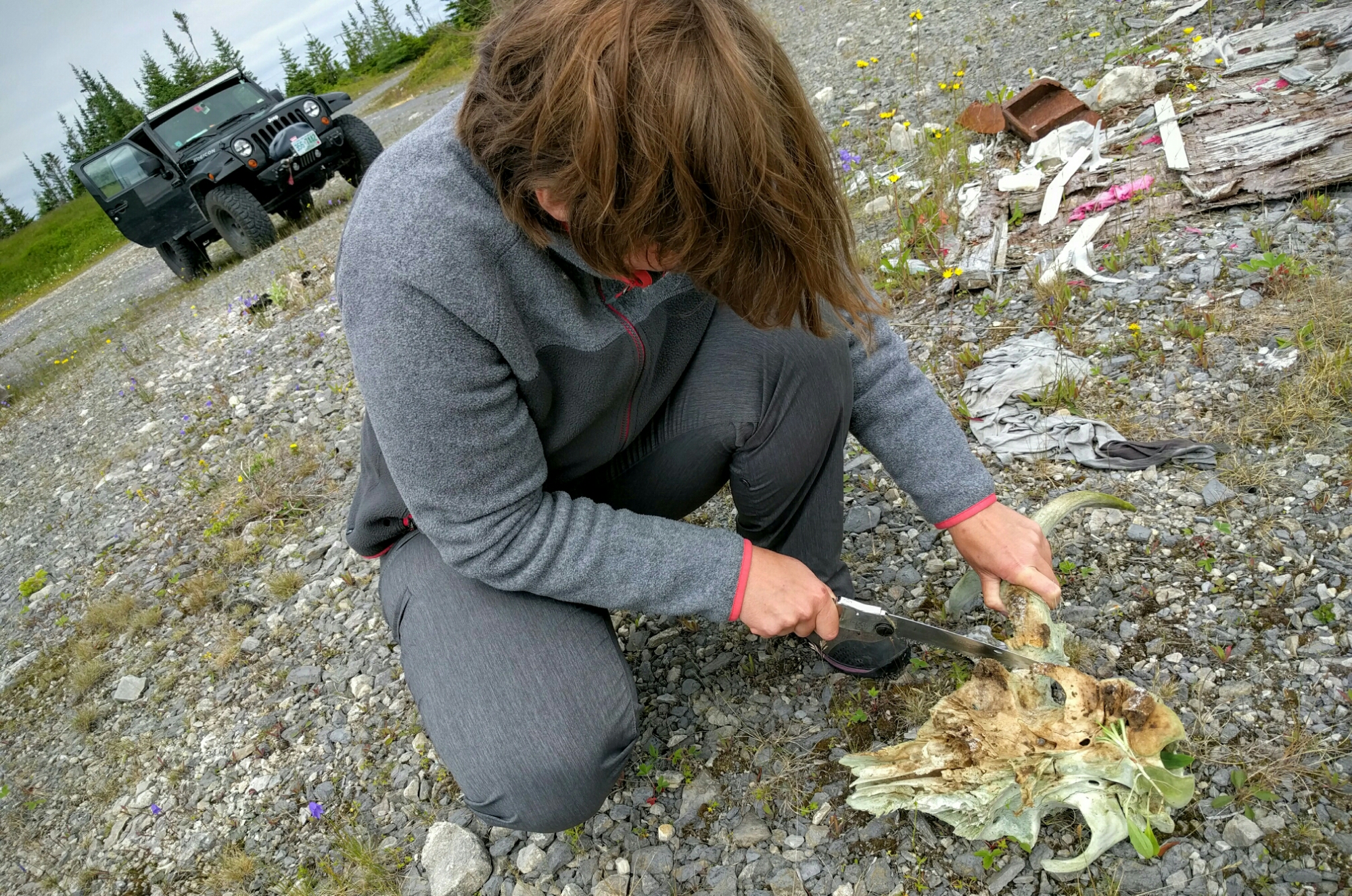 Alison collects an antler.