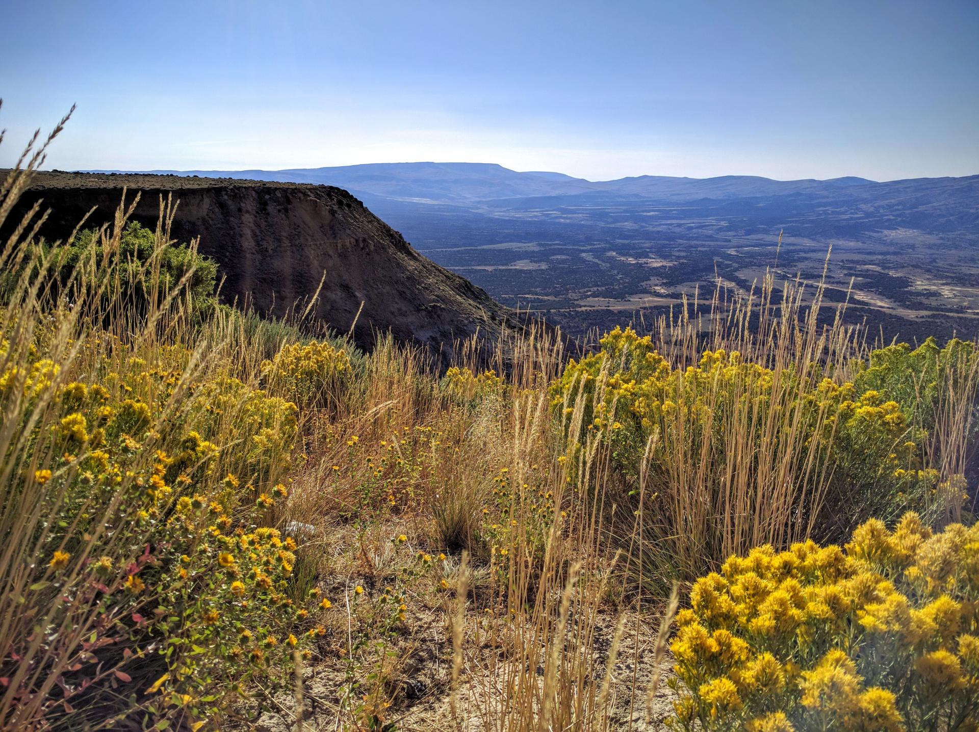 Wyoming vista
