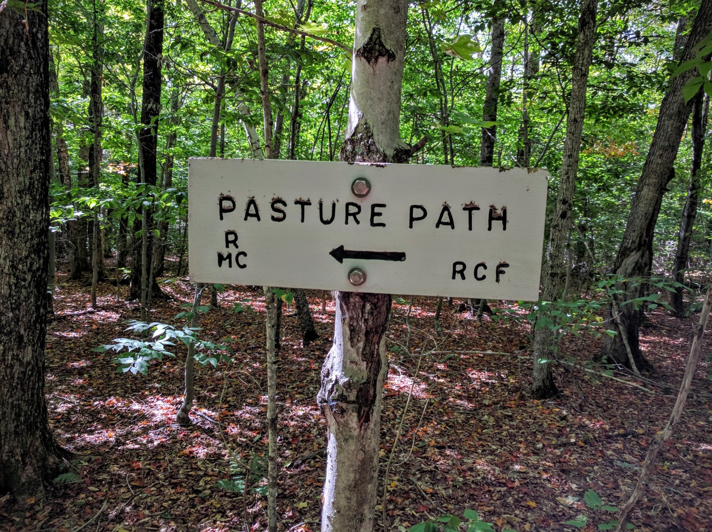 Pasture path