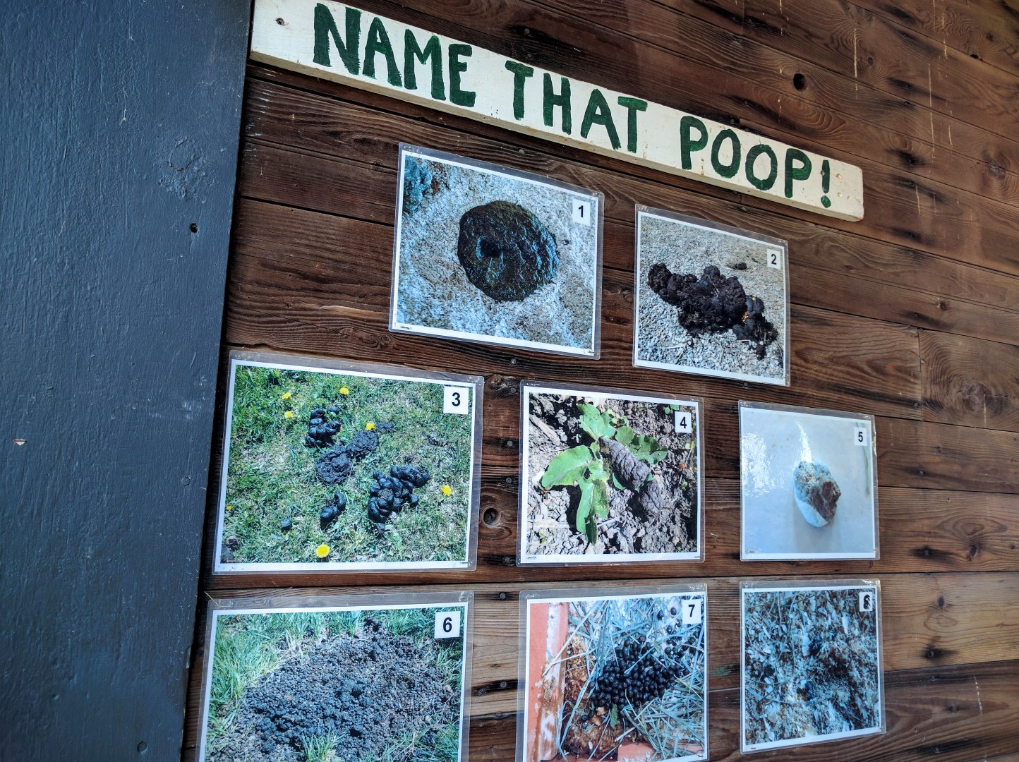 Name that Poop!