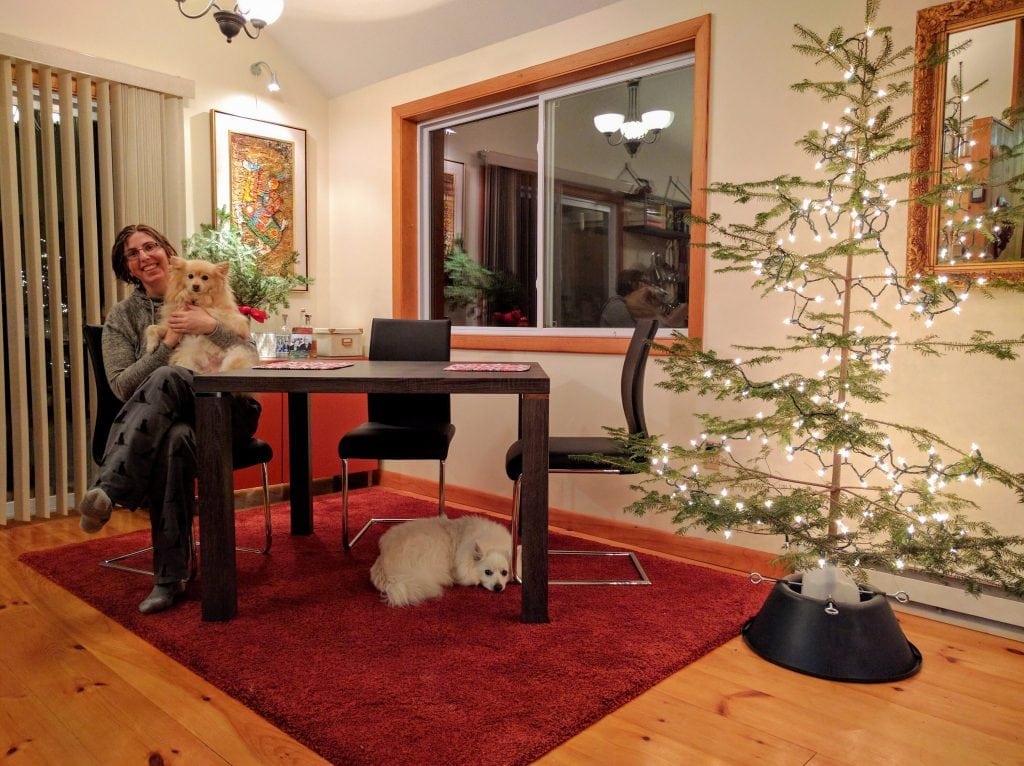 Our real Christmas tree 2016