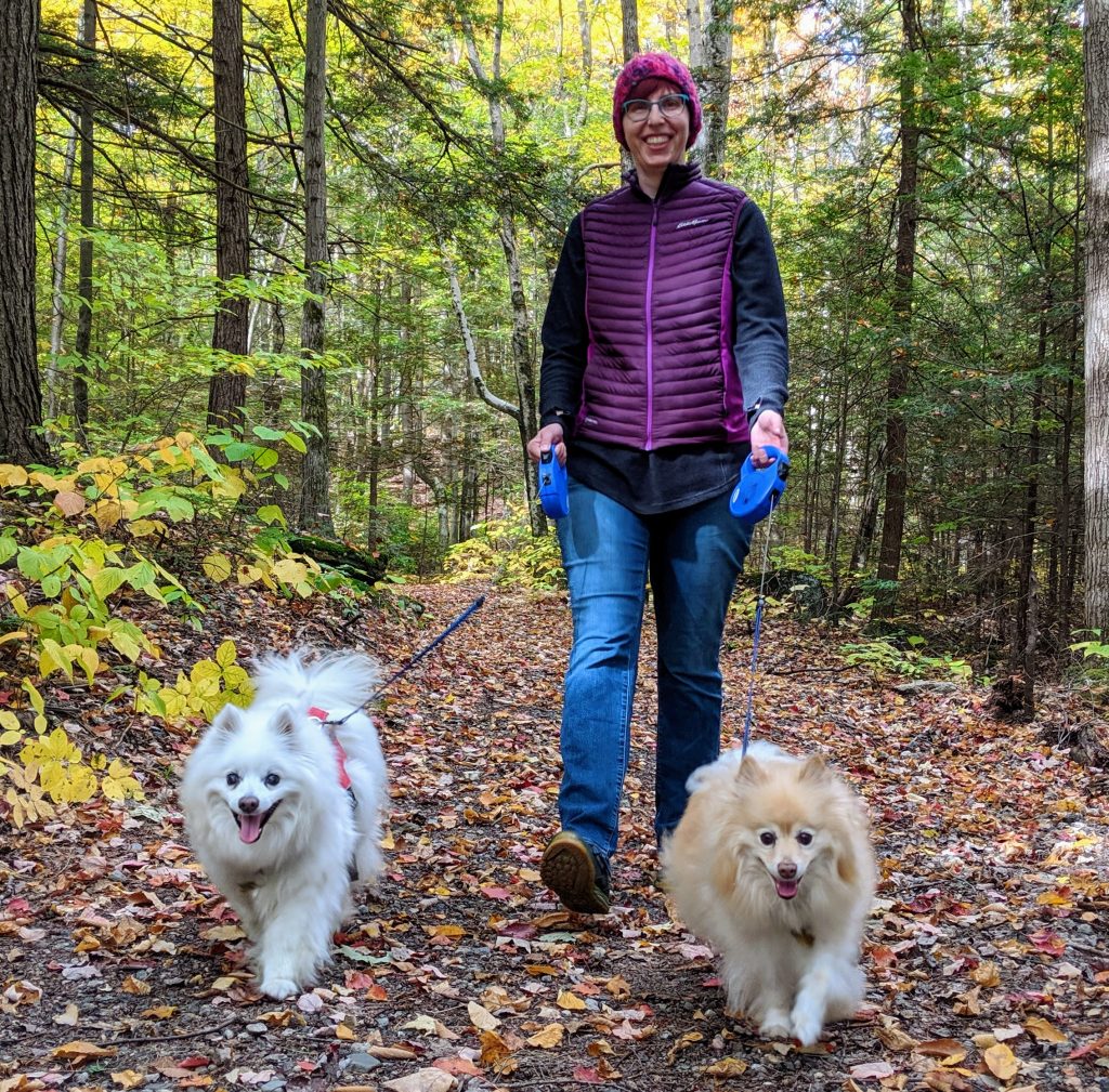 Alison walks the dogs at pisgah state park