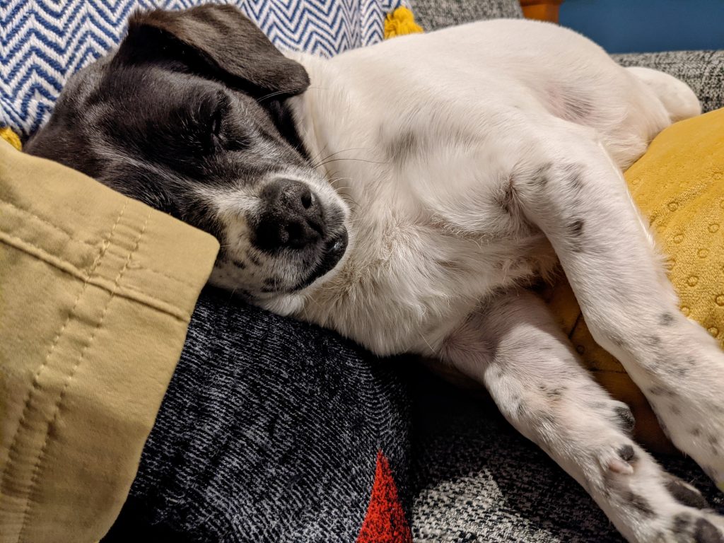 Post-hike napping