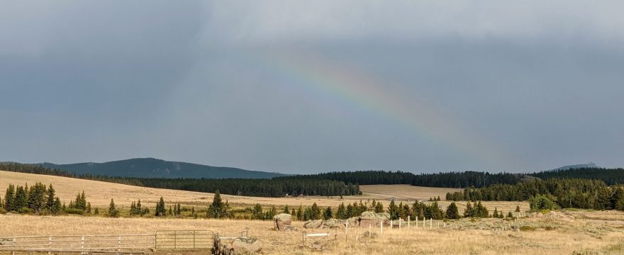 Big Horn Rainbow