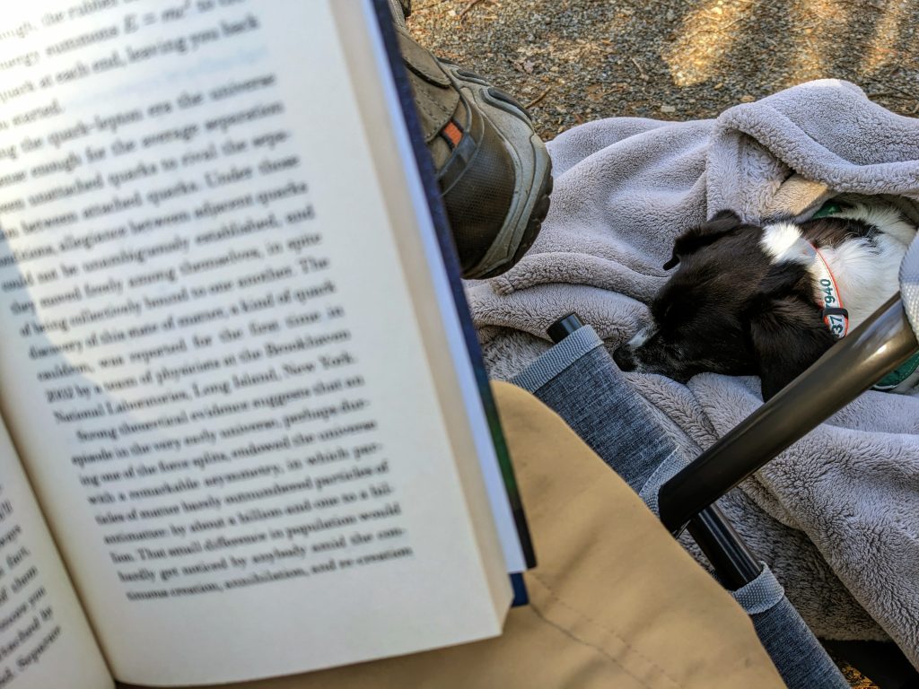 Reading (and sleeping) at camp.