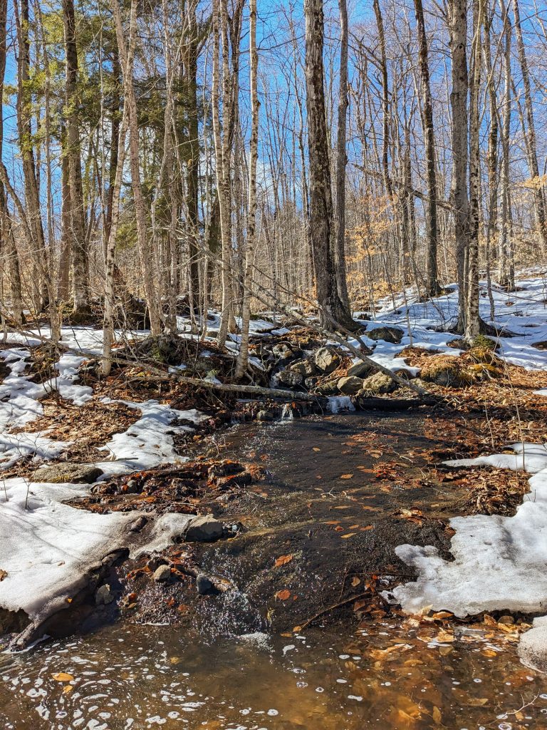 Early March Snow Melt